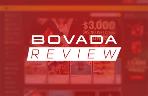 bovada lv reviews|bovada pros and cons.